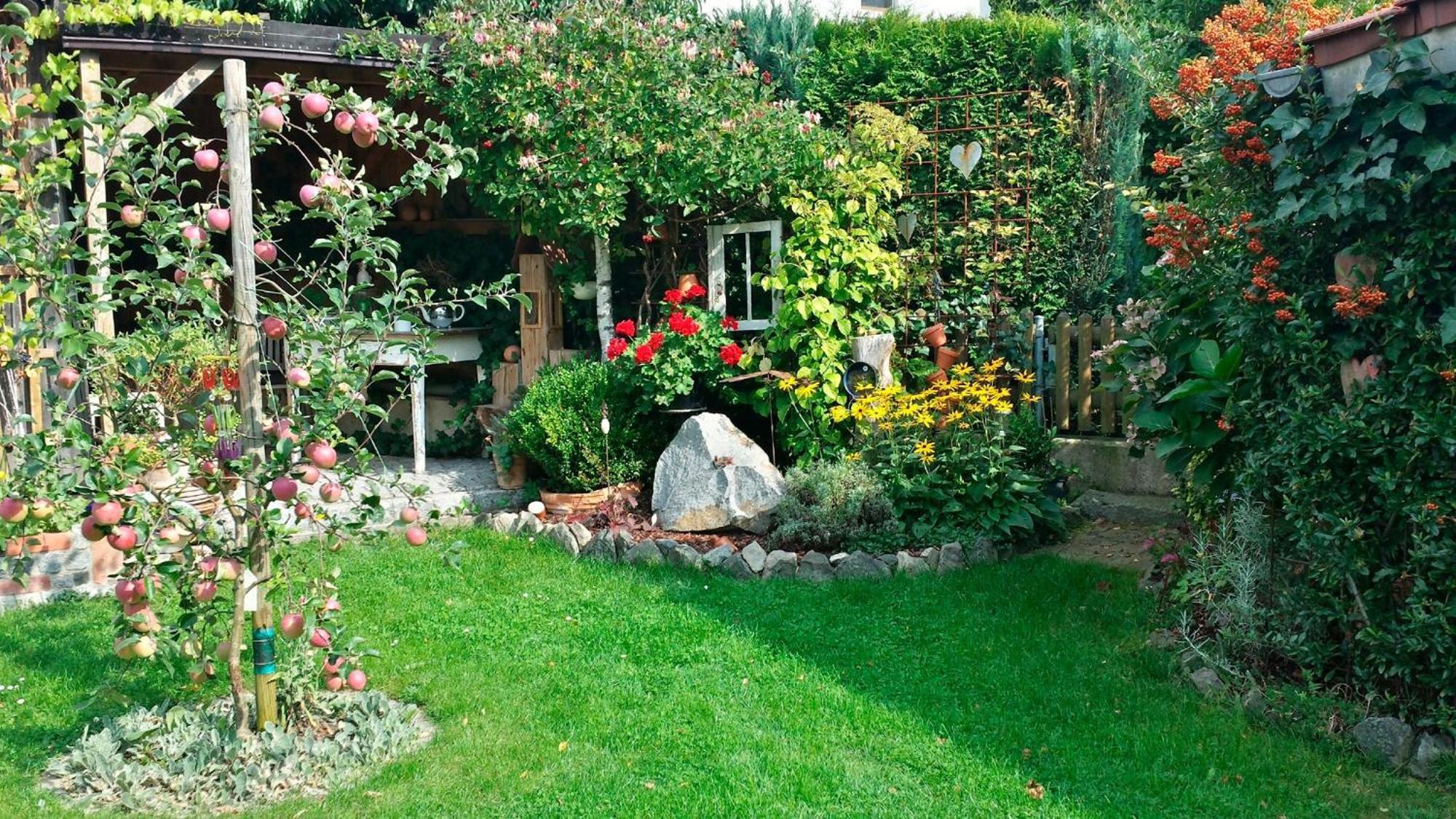 Ferienwohnung-Kappl Tännesberg المظهر الخارجي الصورة